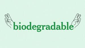 Contenedores de alimentos biodegradables de pulpa de caña de azúcar