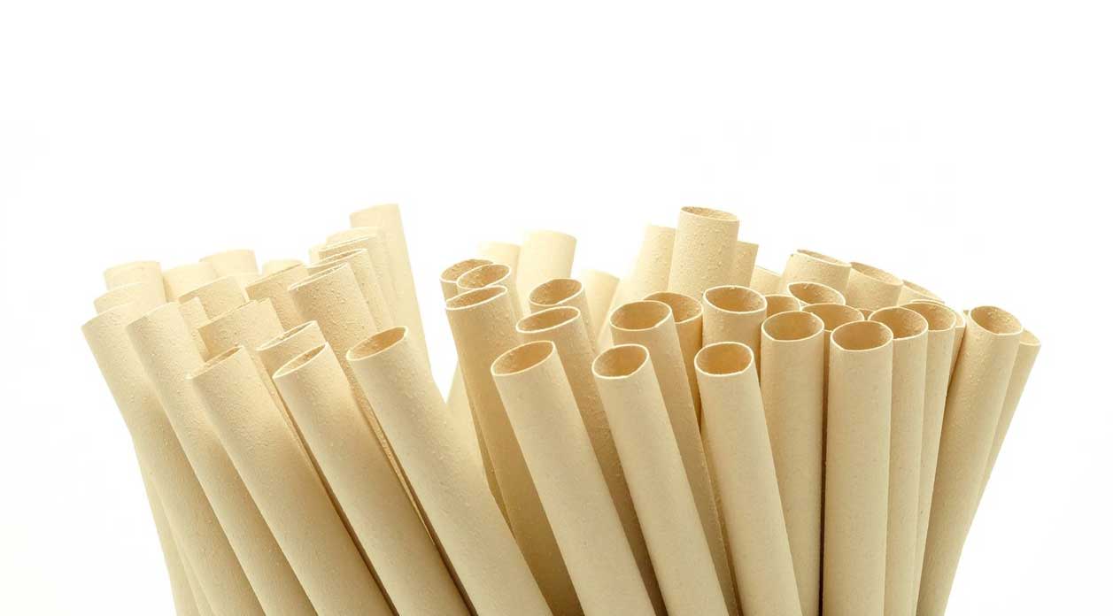 Pajitas ecológicas de fibra de bambú Fpacksolution