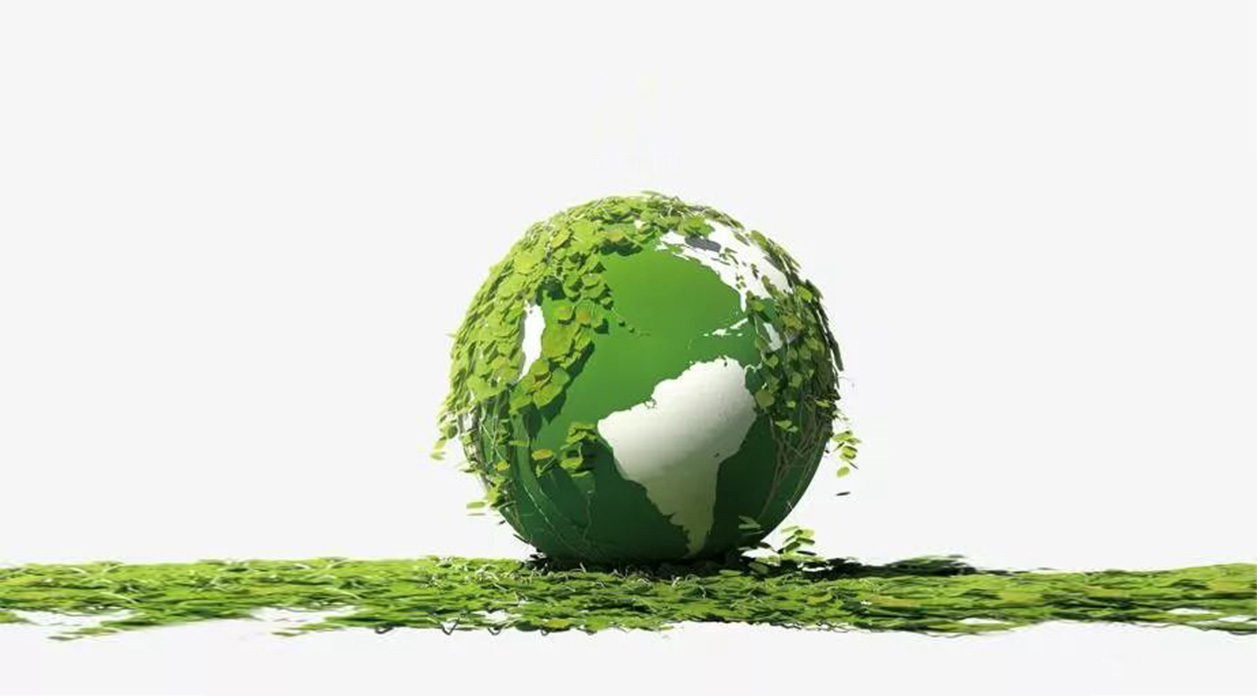 Contenedores de alimentos biodegradables Fpacksolution